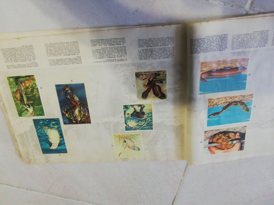 Caderneta de cromos antiga