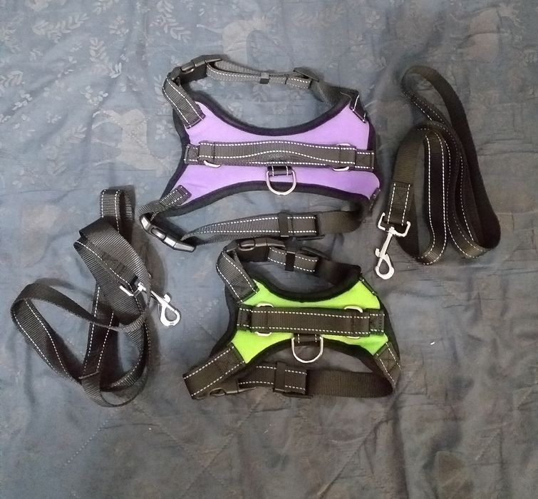 Szelki dla psów + smycz 1 m