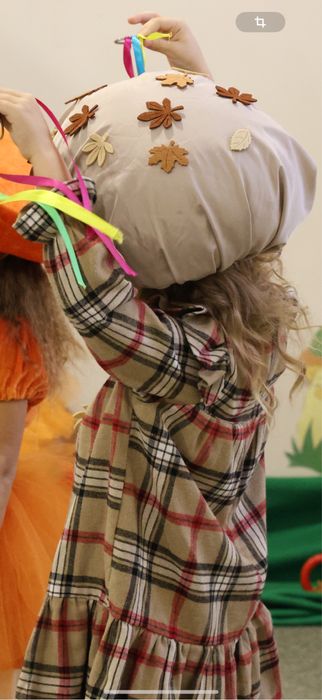 шляпа гриба(печериця )