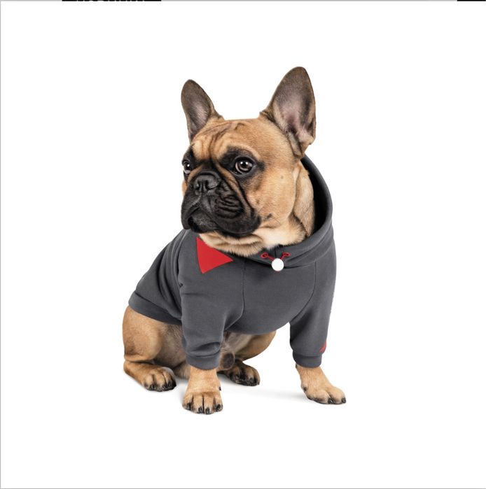 Вязка французский бульдог КСУ есть щенки