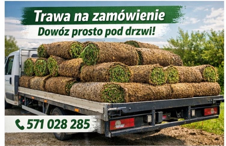 Trawa z rolki premium