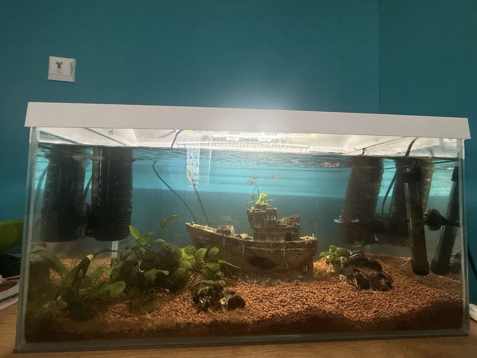 Awarium aquel 60l z akcesoriami i rybami