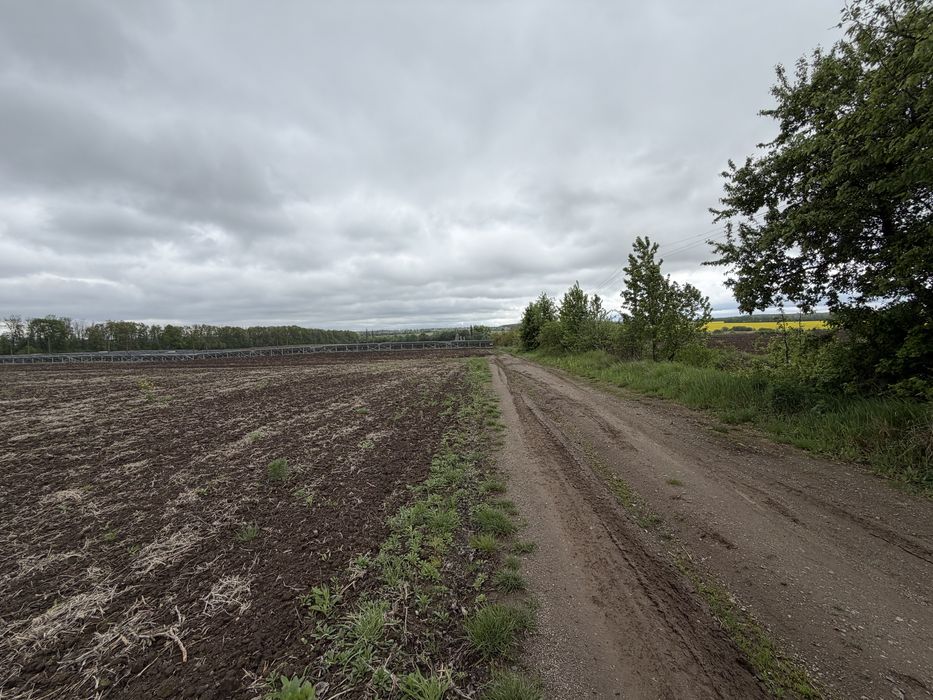 ПРОДАЖ ЗЕМЕЛЬНОЇ ДІЛЯНКИ В ЯКУШИНЦЯХ