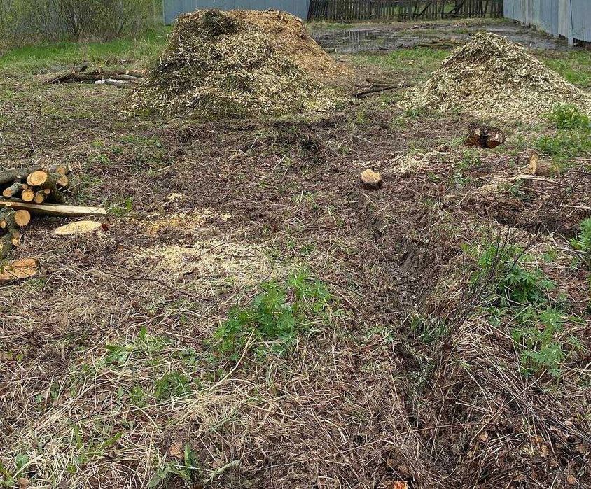 Недорого Спил дерева Расчистка Покос уборка Выкорчёвка Вывоз