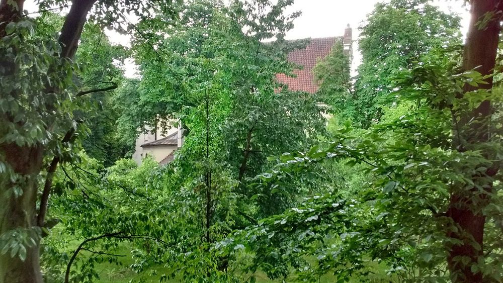 Ciche i komfortowe 2 pokoje | Blisko Politechniki i Malty | Dostępne od zaraz | Bez prowizji