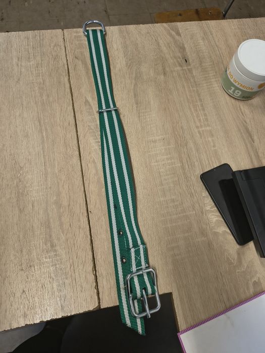 Obroża identyfikacyjna