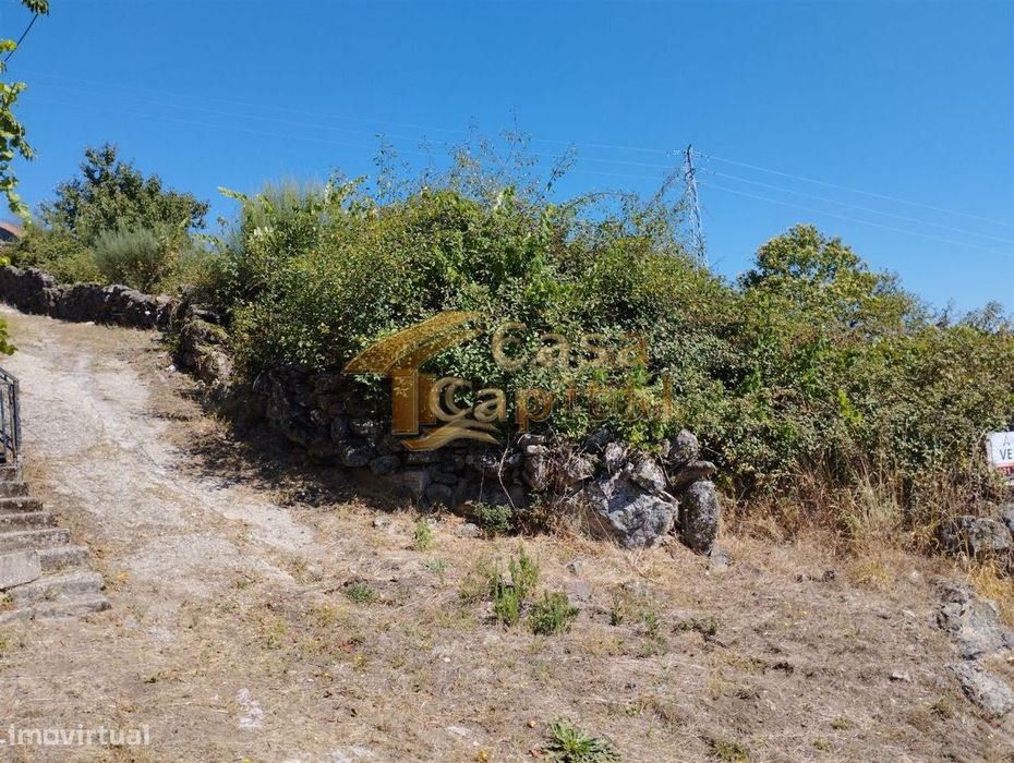 CP673