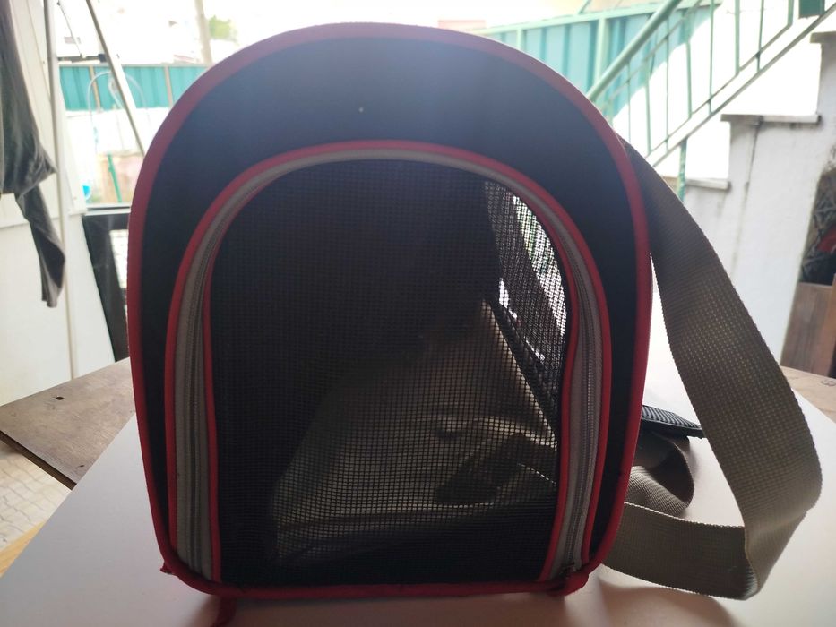 Caixa transportadora animais