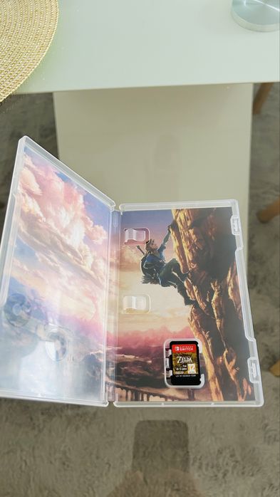 Zelda Breath of the Wild