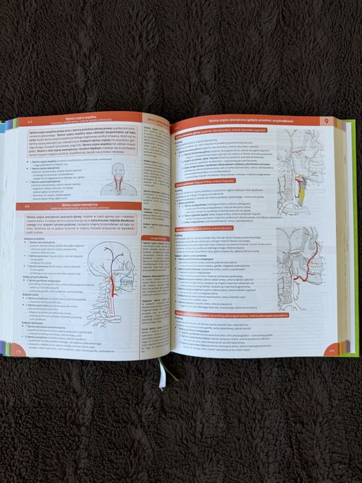 Memorix Anatomia - atlas