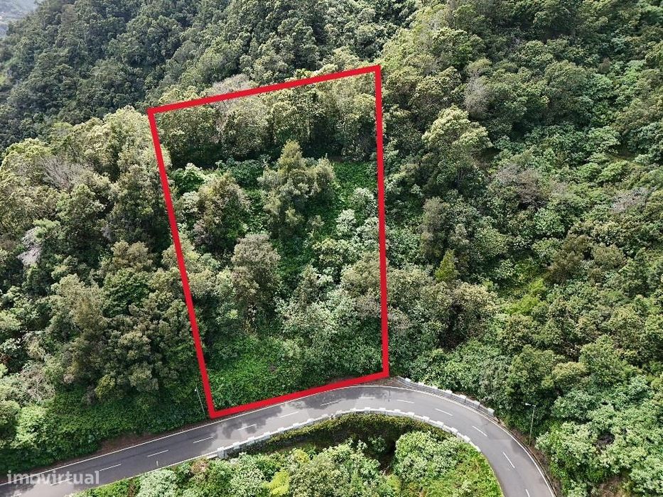 Terreno à venda, localizado Ilha da Madeira Santana Faial