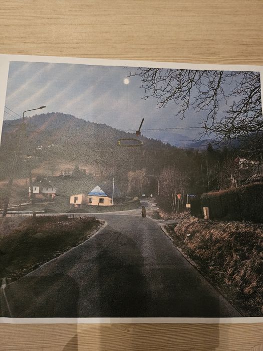 Las z widokiem na kotline żywiecka