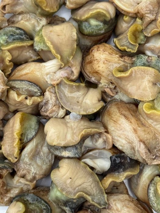 продам філе равлика та ракушки