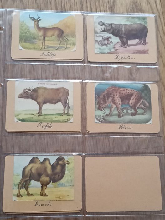 Lote de 17 cromos antigos