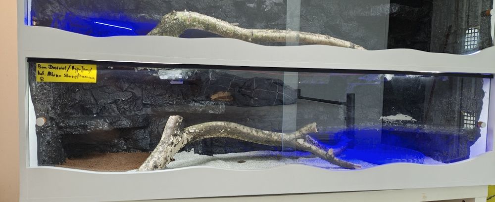 Terrarium  podwójne 150x80x48