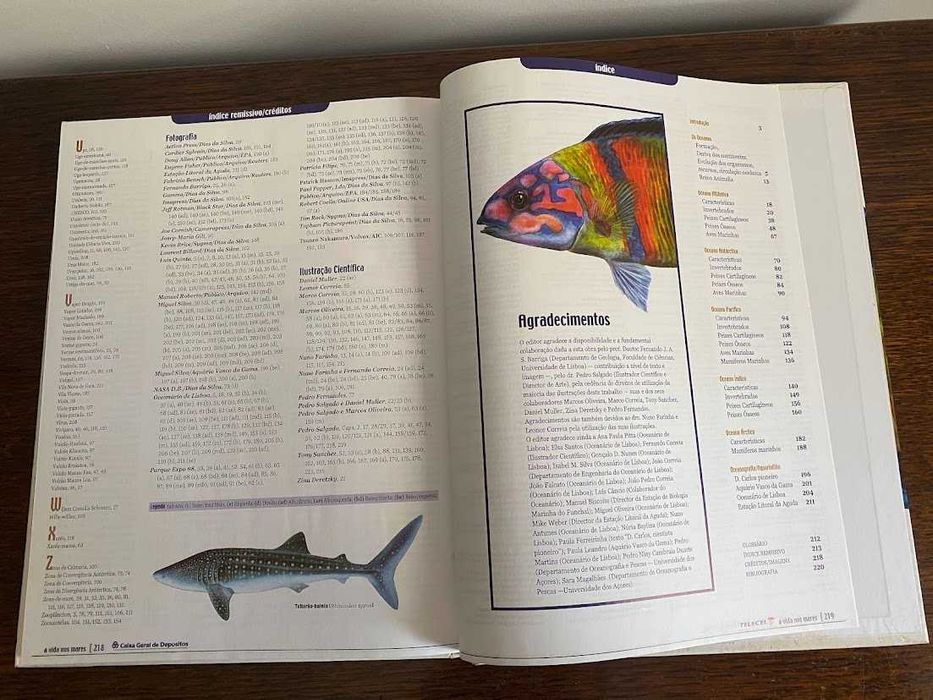 A Vida nos Mares – Uma visita guiada ao mundo submarino