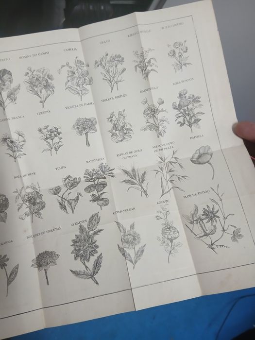 Beatriz Nazareth, Manual da Florista Para Fazer Flores Artificiaes