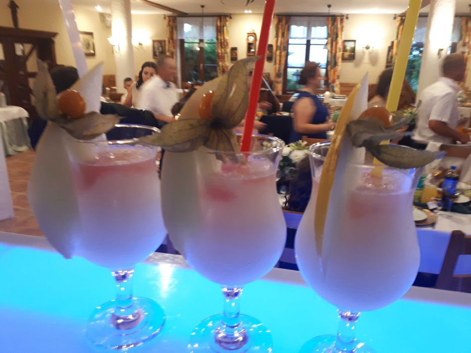 Obsługa Barmańska/ Mobilny Drink Bar