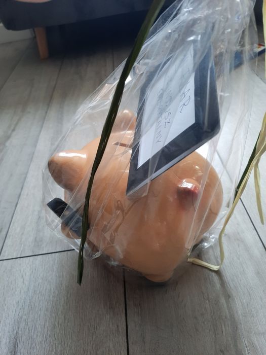 Świnka skarbonka duża