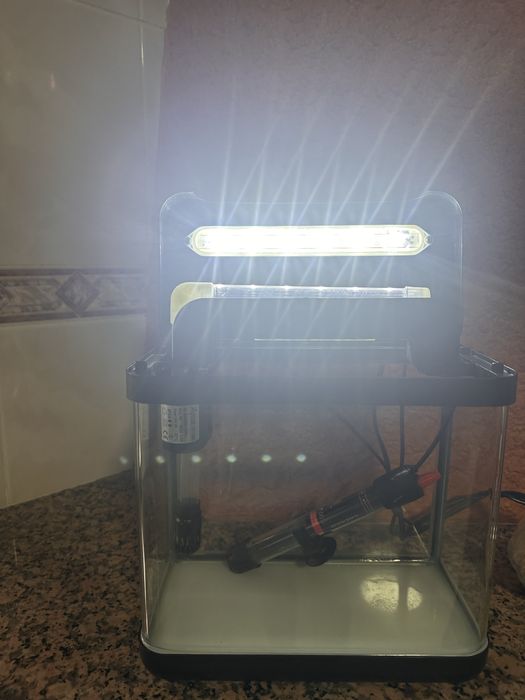 Aquário peixes com luz