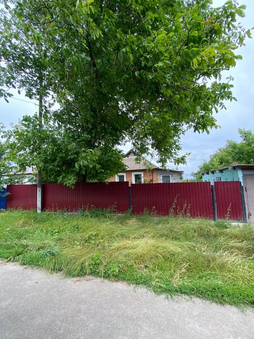 Продаж будинку в селі Коханівка