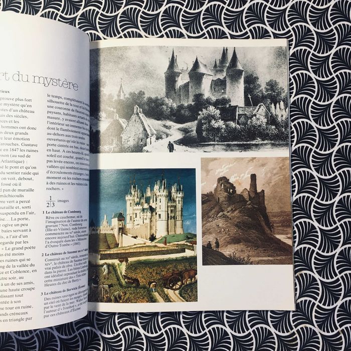 Les Châteaux Forts - Gaston Duchet-Suchaux & Michel Pastoureau