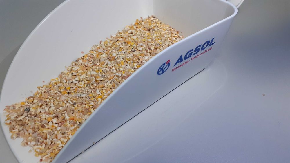 Kukurydza ziarno kiszone gniecione Corn Energy - cena brutto z dostawa