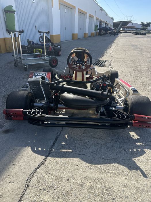 Kart BirelArt DD2