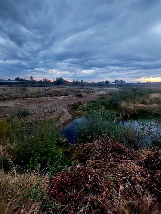 Здам кімнату на любий термін