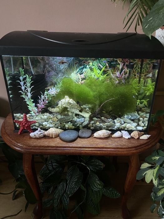 Akwarium Diversa 60 l