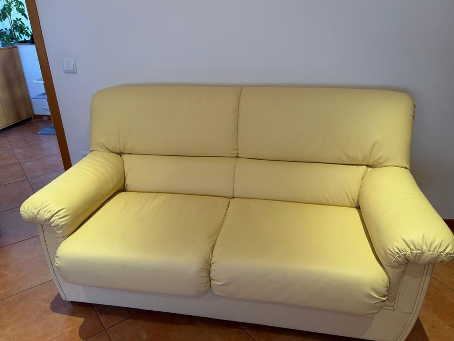 Sofas de sala em pele