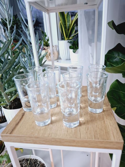 10 szt. kieliszki 20 ml do likieru wódki
Grube dno