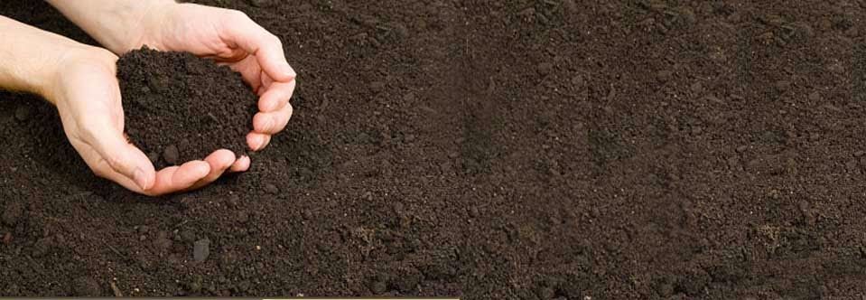 Ziemia do ZAKŁADANIA TRAWNIKÓW humus czarnoziem trawa transport ŚLĄSK