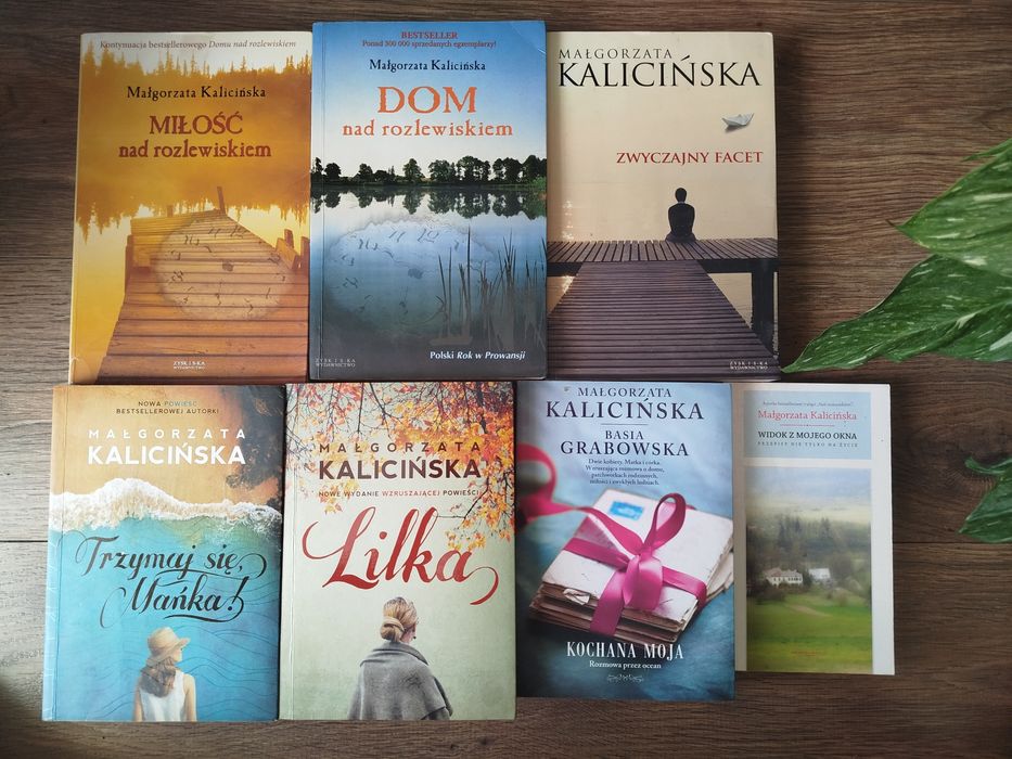 Zestaw książek Kalicińska