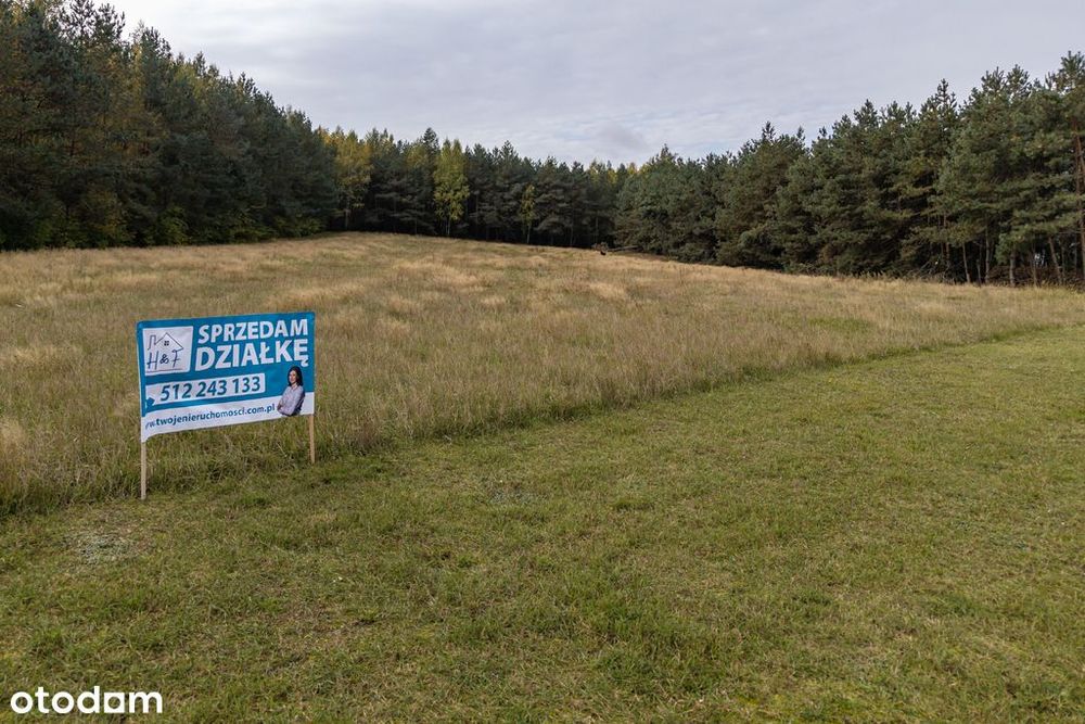 Działki budowlane w okolicach Wodzieradów