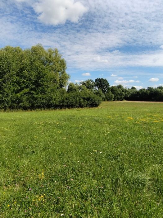 Działka na sprzedaż Sobolew - Widok 3