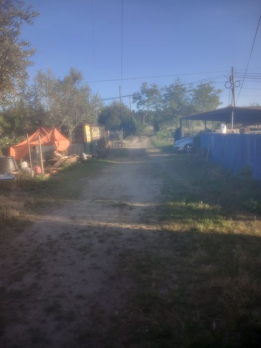 Quinta com barracao agricola Abrantes