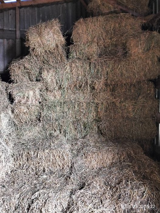 Продам сіно люцерна 250 грн і солому ячну 120 грн