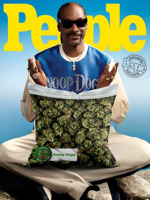 Подушка "єКоноплі" (пакет канабісу 40х40 см. принт).