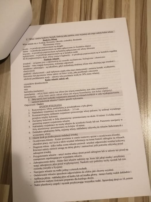 Pytania Na Egzamin Czeladniczy Fryzjer 2018