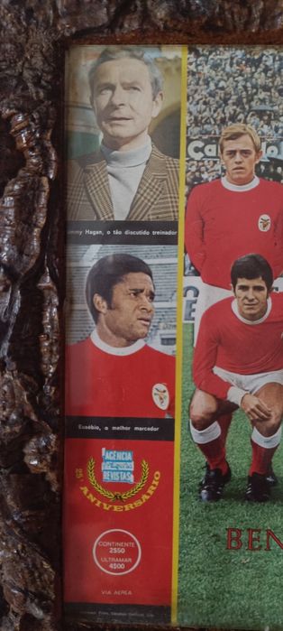 Quadro do Benfica Campeao 53 anos