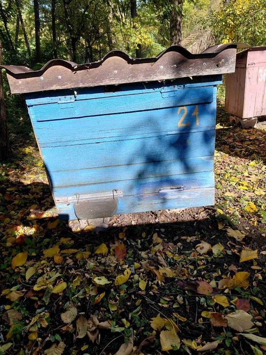 Продаються вулики дадан