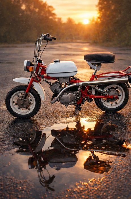 Обмін Міні-Мокік 49сс