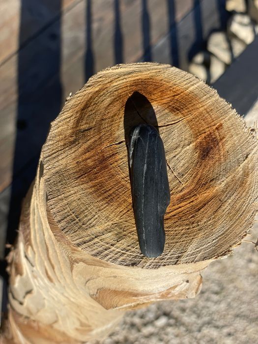 Colares estilizados pela Mãe Natureza