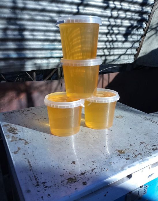 Мед акація з власної пасіки 2025 року