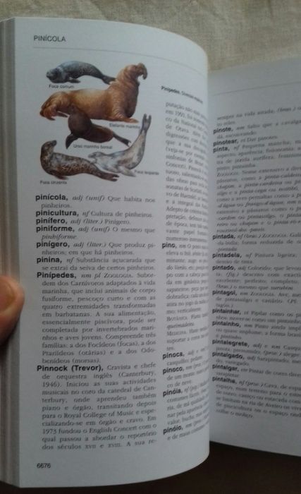 Enciclopédia Público - 20 Volumes - como novos
