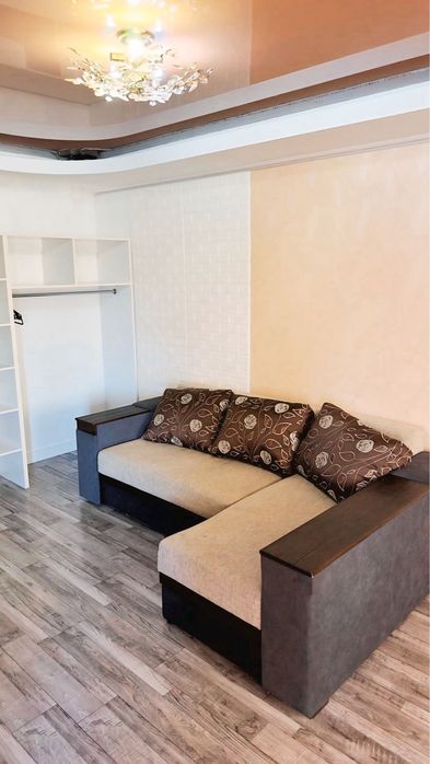 Подобово 1 кімнатна квартира(центр) студія. Виписка документів