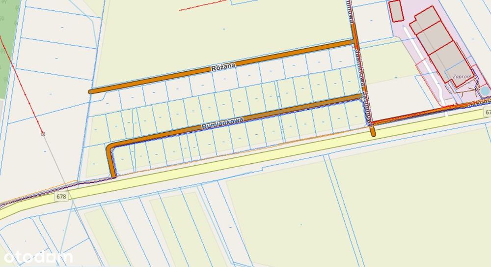Uzbrojona działka budowlana 1000m² – Tołcze, ul. Rumiankowa - Widok 3