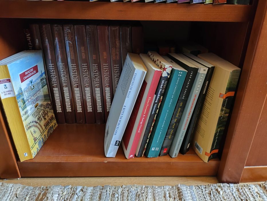 Livros Ken Follett, modignani, mia couto, wiggins Clark, Jung chang