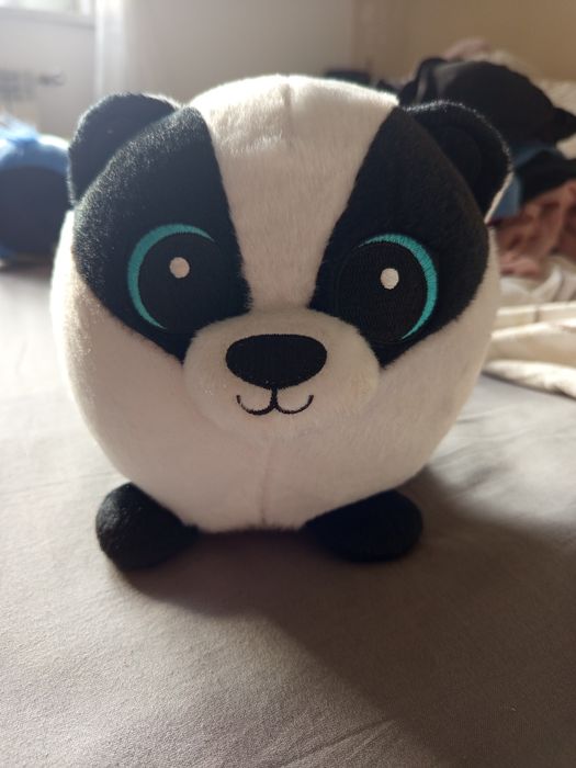 Borsuk maskotką z biedronki